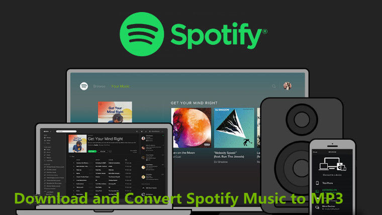 Download Spotify Music Files to MP3